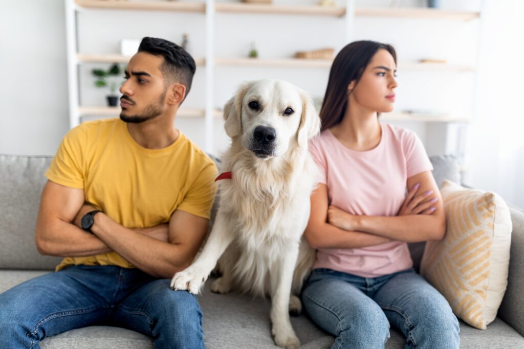 derechos de las mascotas en el convenio regulador